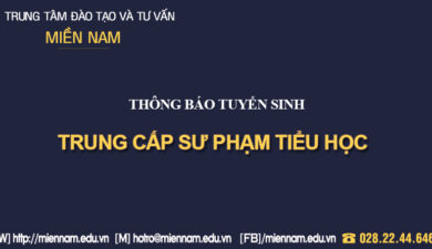 Trung cấp Sư phạm tiểu học tại Quy Nhơn - Bình Định