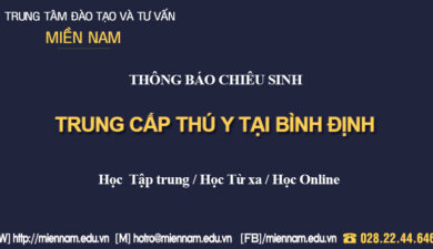 Trung cấp Thú Y tại Quy Nhơn - Bình Định