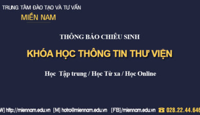 Chứng chỉ Thông tin thư viện tại Quy Nhơn - Bình Định