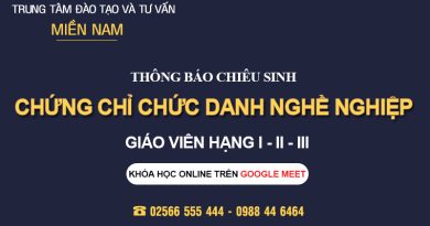Khoá học Chứng chỉ Chức danh nghề nghiệp Giáo viên tại Quy Nhơn - Bình Định