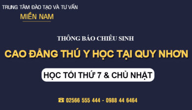 Tuyển sinh Cao đẳng Thú Y tại Bình Định