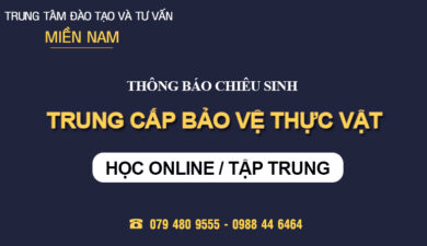 Tuyển sinh Trung cấp Bảo vệ thực vật tại Tây Sơn – Bình Định