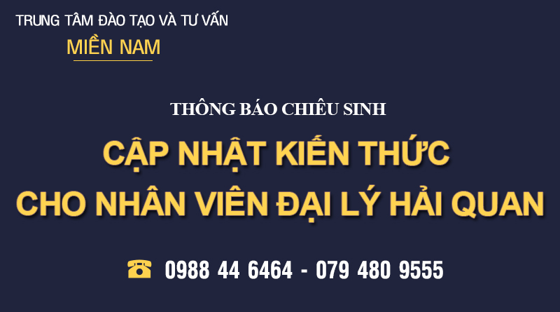 Chiêu sinh Khóa Cập nhật Kiến thức cho Đại lý Hải quan tại Bình Định