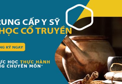 Thông tin Chương trình đào tạo Y học cổ truyền