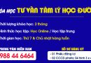Khóa học Nghiệp vụ Tư vấn Tâm lý học đường - Học Online