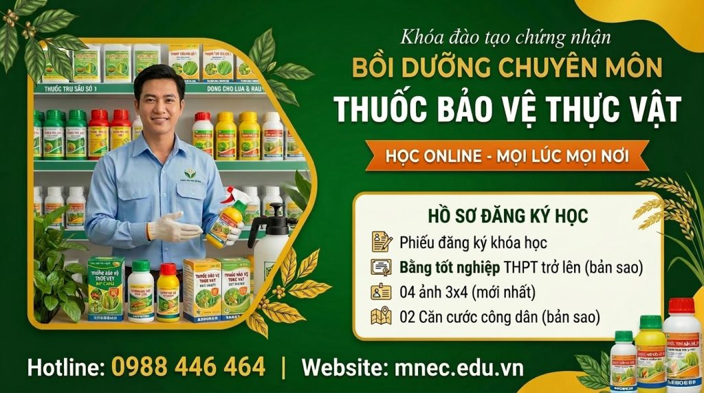 Khóa học Bồi dưỡng chuyên môn Bảo vệ thực vật