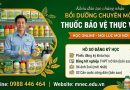 Khóa học Bồi dưỡng chuyên môn Bảo vệ thực vật