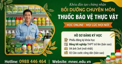Khóa học Bồi dưỡng chuyên môn Bảo vệ thực vật