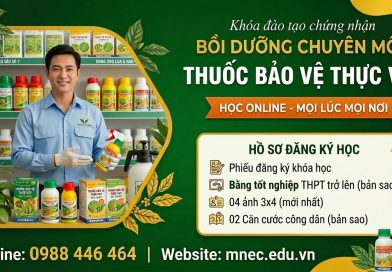 Khóa học Bồi dưỡng chuyên môn Bảo vệ thực vật